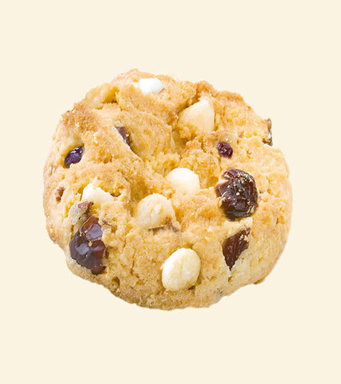 Arándanos / Chocolate Blanco